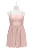 ColsBM Wilt Dusty Rose Plus Size Bridesmaid Dresses Spaghetti Zipper Sleeveless Sash Mini Informal