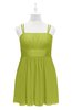 ColsBM Wilt Green Oasis Plus Size Bridesmaid Dresses Spaghetti Zipper Sleeveless Sash Mini Informal
