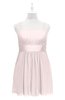 ColsBM Wilt Light Pink Plus Size Bridesmaid Dresses Spaghetti Zipper Sleeveless Sash Mini Informal