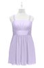 ColsBM Wilt Light Purple Plus Size Bridesmaid Dresses Spaghetti Zipper Sleeveless Sash Mini Informal