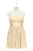 ColsBM Wilt Marzipan Plus Size Bridesmaid Dresses Spaghetti Zipper Sleeveless Sash Mini Informal