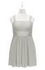 ColsBM Wilt Platinum Plus Size Bridesmaid Dresses Spaghetti Zipper Sleeveless Sash Mini Informal