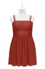 ColsBM Wilt Rust Plus Size Bridesmaid Dresses Spaghetti Zipper Sleeveless Sash Mini Informal