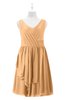 ColsBM Mariyah Apricot Plus Size Bridesmaid Dresses Romantic Sheath Tea Length Sleeveless Pick up V-neck