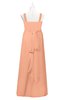 ColsBM Kynlee Salmon Plus Size Bridesmaid Dresses Zipper Jewel Sheath Sleeveless Elegant Floor Length
