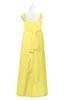 ColsBM Kynlee Yellow Iris Plus Size Bridesmaid Dresses Zipper Jewel Sheath Sleeveless Elegant Floor Length