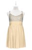 ColsBM Yareli Apricot Gelato Plus Size Bridesmaid Dresses Ruching Sleeveless A-line Zipper Glamorous Thick Straps