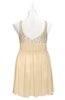 ColsBM Yareli Apricot Gelato Plus Size Bridesmaid Dresses Ruching Sleeveless A-line Zipper Glamorous Thick Straps