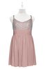 ColsBM Yareli Blush Pink Plus Size Bridesmaid Dresses Ruching Sleeveless A-line Zipper Glamorous Thick Straps