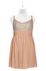 ColsBM Yareli Burnt Orange Plus Size Bridesmaid Dresses Ruching Sleeveless A-line Zipper Glamorous Thick Straps