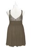 ColsBM Yareli Carafe Brown Plus Size Bridesmaid Dresses Ruching Sleeveless A-line Zipper Glamorous Thick Straps