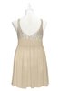 ColsBM Yareli Champagne Plus Size Bridesmaid Dresses Ruching Sleeveless A-line Zipper Glamorous Thick Straps