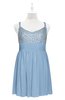 ColsBM Yareli Dusty Blue Plus Size Bridesmaid Dresses Ruching Sleeveless A-line Zipper Glamorous Thick Straps