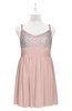 ColsBM Yareli Dusty Rose Plus Size Bridesmaid Dresses Ruching Sleeveless A-line Zipper Glamorous Thick Straps