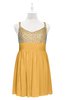 ColsBM Yareli Golden Cream Plus Size Bridesmaid Dresses Ruching Sleeveless A-line Zipper Glamorous Thick Straps