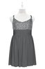 ColsBM Yareli Grey Plus Size Bridesmaid Dresses Ruching Sleeveless A-line Zipper Glamorous Thick Straps