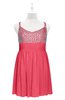 ColsBM Yareli Guava Plus Size Bridesmaid Dresses Ruching Sleeveless A-line Zipper Glamorous Thick Straps