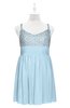 ColsBM Yareli Ice Blue Plus Size Bridesmaid Dresses Ruching Sleeveless A-line Zipper Glamorous Thick Straps