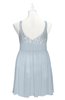 ColsBM Yareli Illusion Blue Plus Size Bridesmaid Dresses Ruching Sleeveless A-line Zipper Glamorous Thick Straps