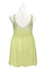 ColsBM Yareli Lime Green Plus Size Bridesmaid Dresses Ruching Sleeveless A-line Zipper Glamorous Thick Straps