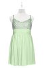 ColsBM Yareli Pale Green Plus Size Bridesmaid Dresses Ruching Sleeveless A-line Zipper Glamorous Thick Straps