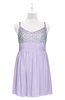 ColsBM Yareli Pastel Lilac Plus Size Bridesmaid Dresses Ruching Sleeveless A-line Zipper Glamorous Thick Straps