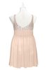 ColsBM Yareli Peach Puree Plus Size Bridesmaid Dresses Ruching Sleeveless A-line Zipper Glamorous Thick Straps