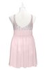 ColsBM Yareli Petal Pink Plus Size Bridesmaid Dresses Ruching Sleeveless A-line Zipper Glamorous Thick Straps