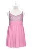 ColsBM Yareli Pink Plus Size Bridesmaid Dresses Ruching Sleeveless A-line Zipper Glamorous Thick Straps