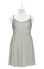 ColsBM Yareli Platinum Plus Size Bridesmaid Dresses Ruching Sleeveless A-line Zipper Glamorous Thick Straps