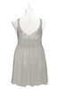ColsBM Yareli Platinum Plus Size Bridesmaid Dresses Ruching Sleeveless A-line Zipper Glamorous Thick Straps