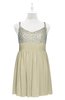 ColsBM Yareli Putty Plus Size Bridesmaid Dresses Ruching Sleeveless A-line Zipper Glamorous Thick Straps