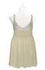 ColsBM Yareli Putty Plus Size Bridesmaid Dresses Ruching Sleeveless A-line Zipper Glamorous Thick Straps