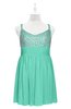ColsBM Yareli Seafoam Green Plus Size Bridesmaid Dresses Ruching Sleeveless A-line Zipper Glamorous Thick Straps
