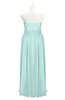 ColsBM Taya Blue Glass Plus Size Bridesmaid Dresses Sleeveless A-line Romantic Pleated Floor Length Zip up