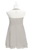 ColsBM Nathaly Ashes Of Roses Plus Size Bridesmaid Dresses Sleeveless Knee Length A-line Zipper Pleated Plain