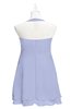 ColsBM Nathaly Blue Heron Plus Size Bridesmaid Dresses Sleeveless Knee Length A-line Zipper Pleated Plain