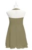 ColsBM Nathaly Boa Plus Size Bridesmaid Dresses Sleeveless Knee Length A-line Zipper Pleated Plain