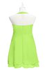 ColsBM Nathaly Bright Green Plus Size Bridesmaid Dresses Sleeveless Knee Length A-line Zipper Pleated Plain
