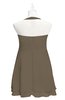ColsBM Nathaly Carafe Brown Plus Size Bridesmaid Dresses Sleeveless Knee Length A-line Zipper Pleated Plain