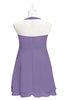 ColsBM Nathaly Chalk Violet Plus Size Bridesmaid Dresses Sleeveless Knee Length A-line Zipper Pleated Plain