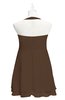 ColsBM Nathaly Chocolate Brown Plus Size Bridesmaid Dresses Sleeveless Knee Length A-line Zipper Pleated Plain