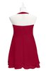 ColsBM Nathaly Dark Red Plus Size Bridesmaid Dresses Sleeveless Knee Length A-line Zipper Pleated Plain