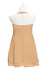 ColsBM Nathaly Desert Mist Plus Size Bridesmaid Dresses Sleeveless Knee Length A-line Zipper Pleated Plain