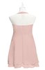 ColsBM Nathaly Dusty Rose Plus Size Bridesmaid Dresses Sleeveless Knee Length A-line Zipper Pleated Plain