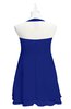 ColsBM Nathaly Electric Blue Plus Size Bridesmaid Dresses Sleeveless Knee Length A-line Zipper Pleated Plain