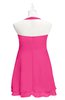 ColsBM Nathaly Fandango Pink Plus Size Bridesmaid Dresses Sleeveless Knee Length A-line Zipper Pleated Plain