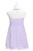 ColsBM Nathaly Light Purple Plus Size Bridesmaid Dresses Sleeveless Knee Length A-line Zipper Pleated Plain