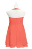 ColsBM Nathaly Living Coral Plus Size Bridesmaid Dresses Sleeveless Knee Length A-line Zipper Pleated Plain