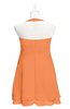 ColsBM Nathaly Mango Plus Size Bridesmaid Dresses Sleeveless Knee Length A-line Zipper Pleated Plain